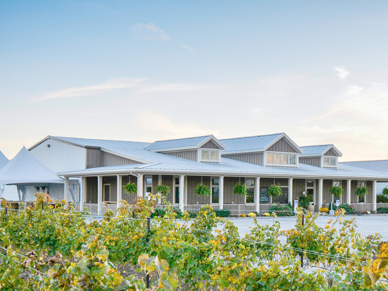 Bella Terra Vineyards