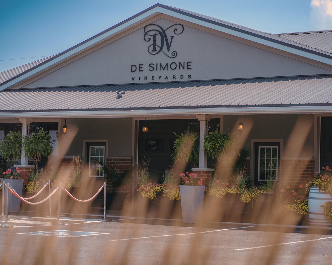 De Simone Vineyards