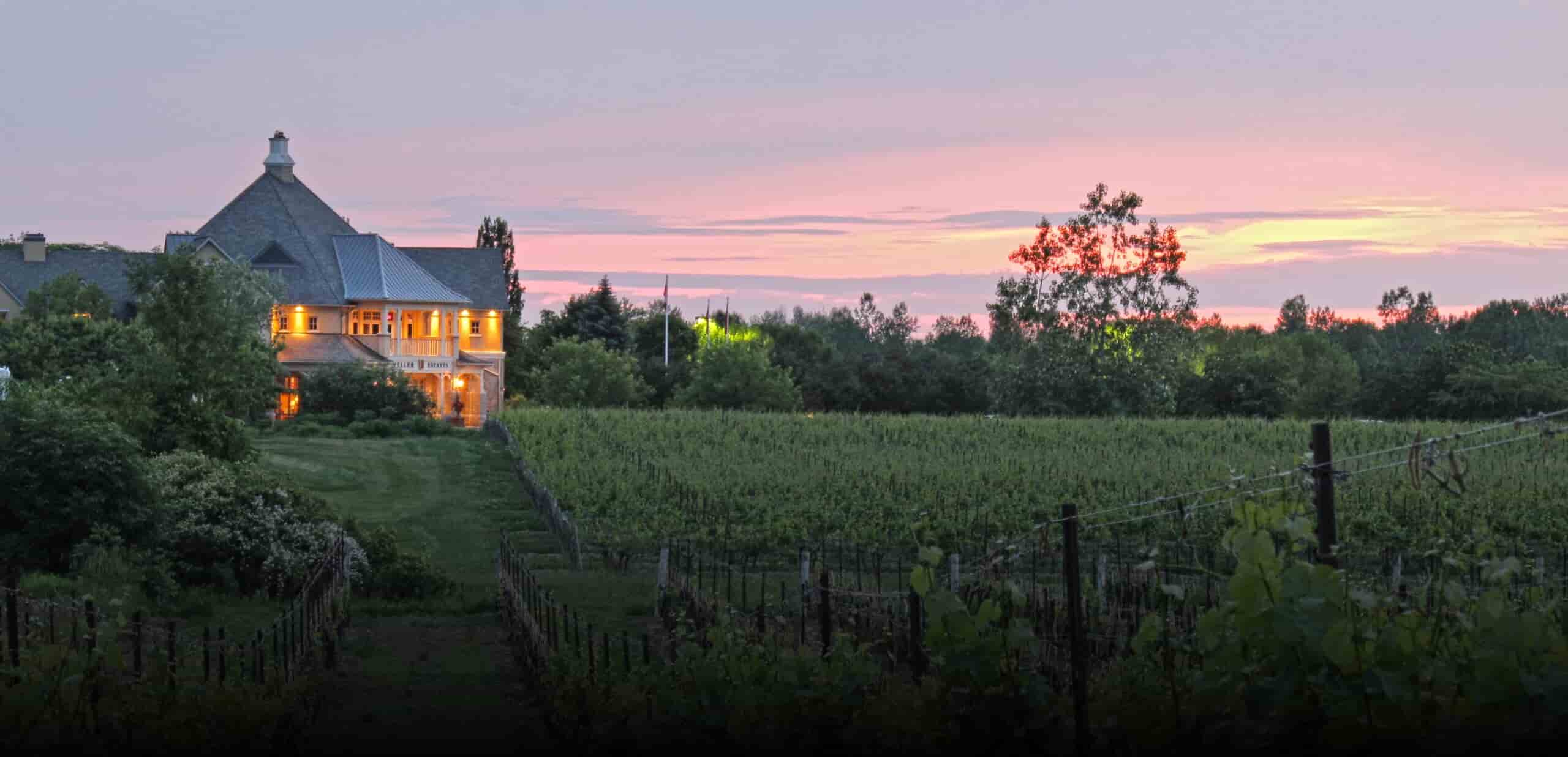 Andrew Peller Limited