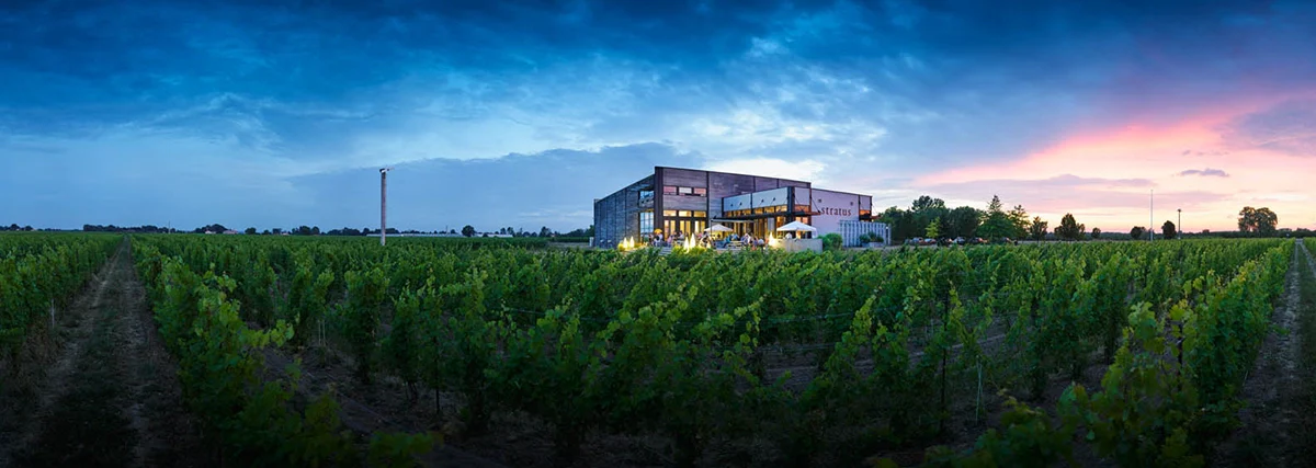Stratus Vineyards