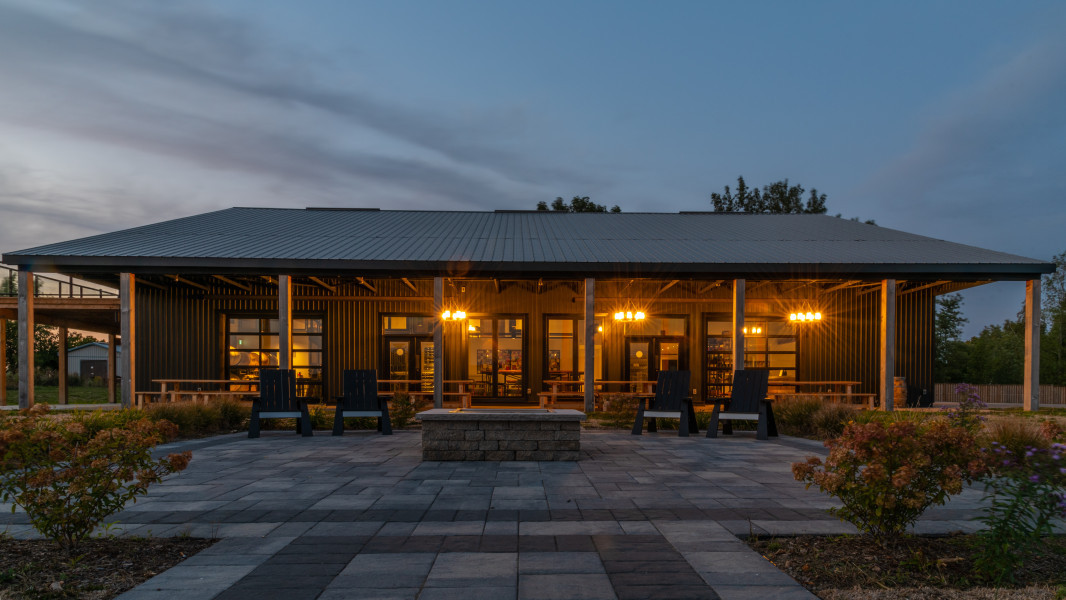 Queenston Mile Vineyard