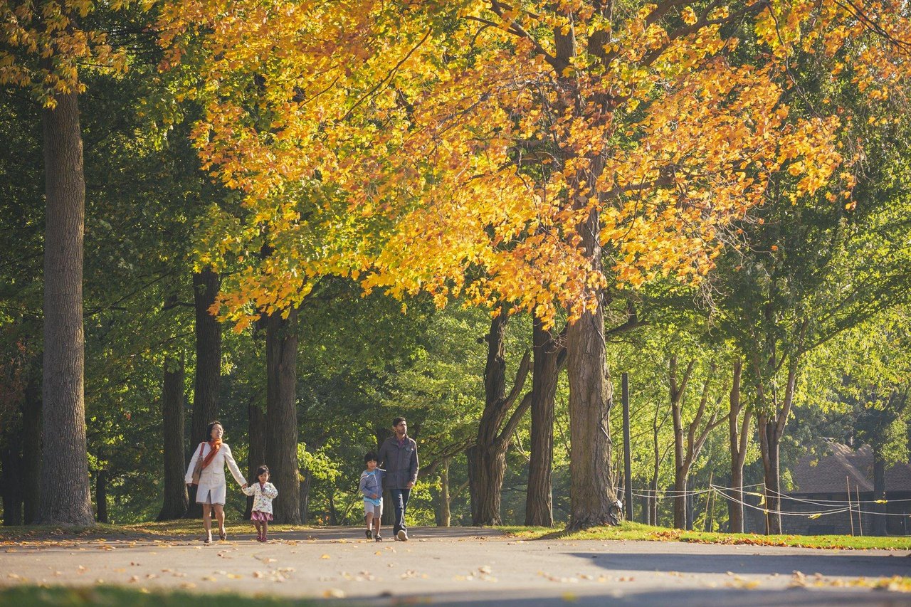 Bruce Trail at Queenston